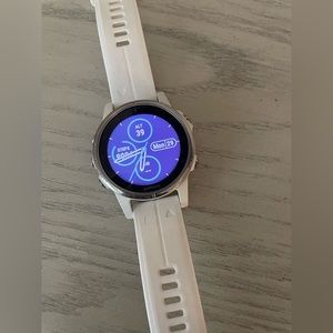 Garmin Fenix 5s Sapphire